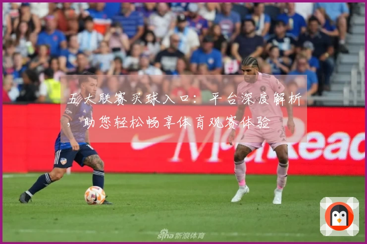 五大联赛买球入口：平台深度解析，助您轻松畅享体育观赛体验