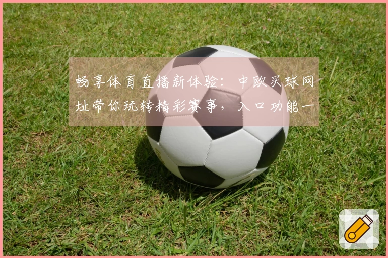 畅享体育直播新体验：中欧买球网址带你玩转精彩赛事，入口功能一网打尽